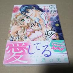 【サイン本】盗賊王のおしのび花嫁 3