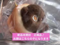 完売品⭐︎mofusand もふもふベーカリー チョココロネにゃんマスコット
