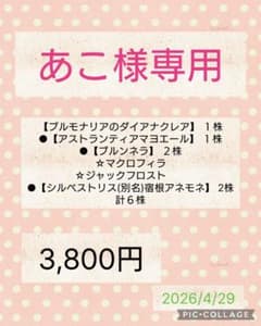あこ様専用のサムネイル
