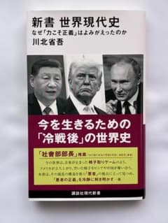 新書 世界現代史 川北省吾 講談社現代新書のサムネイル