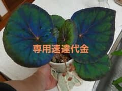 専用速達代金のサムネイル