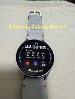 Galaxy Watch7 シルバー44mm Bluetoothのサムネイル