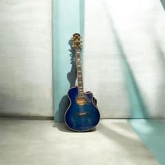 CA-Y1735/YAMAHA APX900 青エレアコ ソフトケース付 美品 - メルカリ