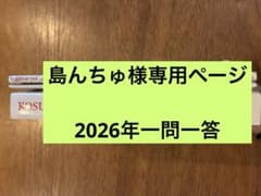 島んちゅ様専用のサムネイル