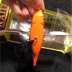 レイドジャパンダッヂのサムネイル