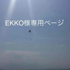 EKKO様専用ページです☆のサムネイル
