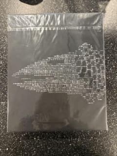 SAKANACTION 10th ANNIVERSARY ピンバッジセット - メルカリ