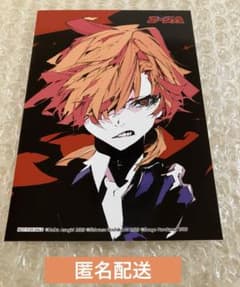 文豪ストレイドッグス 少年エース ゲーマーズ 特典 ブロマイド 中原中