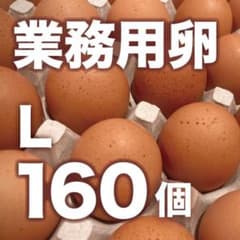 蔵王鶏園の業務用卵Lサイズ / 160個 蔵王鶏園の業務用卵Lサイズ / 160個 - メルカリ