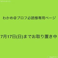 わかめ@プロフ必読様専用ページ アイスホッケー レガースのサムネイル