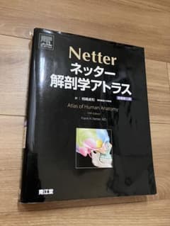 ネッター解剖学アトラス 原書第5版 - メルカリ