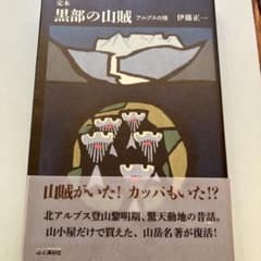 定本黒部の山賊 アルプスの怪のサムネイル