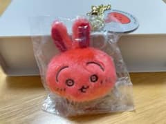 うさぎ　いつもとちがうよ　おかおマスコットのサムネイル