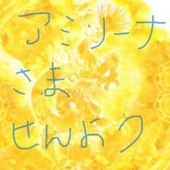 アミリーナ様専用です。のサムネイル