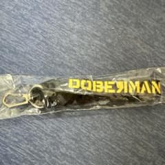 DOBERMAN INFINITY LIVE2024のサムネイル