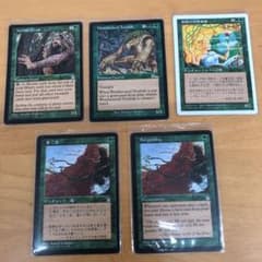 MTG 新緑の女魔術師 他5枚セットのサムネイル