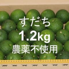 すだち スダチ 1.2kg 農薬不使用 静岡県産のサムネイル