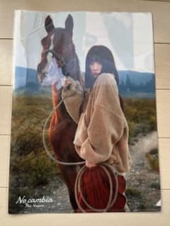 永野芽郁No cambia クリアファイルのサムネイル