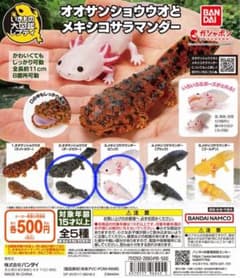 いきもの大図鑑 オオサンショウウオとメキシコサラマンダー 2種のサムネイル
