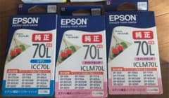 EPSON ICLC70Lのサムネイル