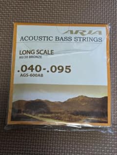 ARIA Acoustic Bass Strings AGS-600AB - メルカリ