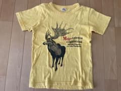 MPS メガロケロス Tシャツ イエロー 130のサムネイル