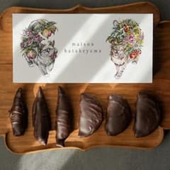 ラスト】メゾンハタケヤマ フリュイコンフィ サロショ サロンデュ