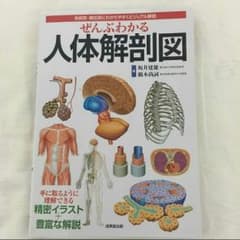 人体解剖図のサムネイル