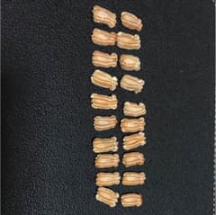 瓢箪の種 20個 限定❗️のサムネイル