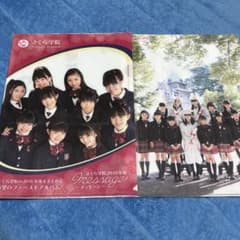 レア廃盤】さくら学院☆クリアファイル BABYMETAL - メルカリ