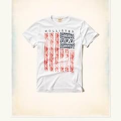 ホリスター Ｔシャツのサムネイル