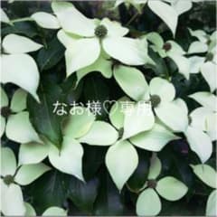 まり様♡専用アルマーニ ジーンズ バッグ 青のサムネイル