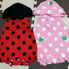 てんとう虫♡いちごのサムネイル