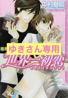 ゆきさん　専用ページ　世界一初恋　全巻セットのサムネイル