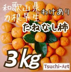 107　柿 わけあり 3㎏ 刀根早生 たねなし柿 和歌山県 紀の川市のサムネイル