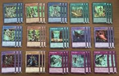 遊戯王 グロリアスヴィクターズ セネト パーツ - メルカリ