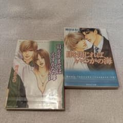 崎谷はるひ 目を閉じればいつかの海、耳をすませばかすかな海　文庫本 2冊セットのサムネイル