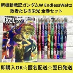 新機動戦記ガンダムW EndlessWaltz敗者たちの栄光 13巻セット Amazon.co.jp: 新機動戦記ガンダムW Endless Waltz 敗者たちの栄光 (7