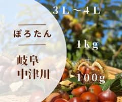③【9月21日夕方採れ】生栗　栗　岐阜県中津川産　ぽろたん1kg＋約100gのサムネイル
