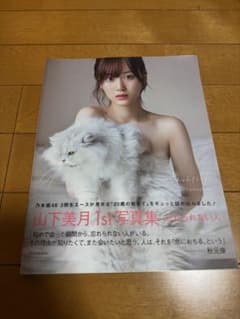 山下美月1st写真集 忘れられない人のサムネイル