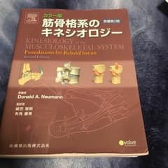 キネシオロジーのサムネイル