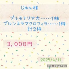 じゅん様専用のサムネイル