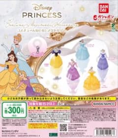 ディズニー プリンセス コスチュームめじるしアクセサリー 5種類　コンプリートのサムネイル