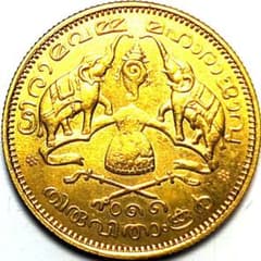 m56947715816_1.jpg?1751505590