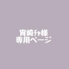 宵崎チャ様専用ページのサムネイル