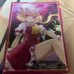 東方　フランドール・スカーレット　vision　スリーブ Amazon.co.jp: フランドール スカーレット スリーブ 東方 : おもちゃ