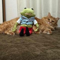 クッキー様専用のサムネイル