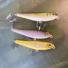 Megabass メガバス COAYU“コアユ” DOG-X jr 3本セットのサムネイル