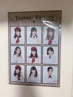 つばきファクトリー　クリアファイルのサムネイル