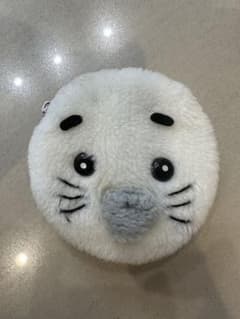 소년 아시베 참깨 코인 케이스